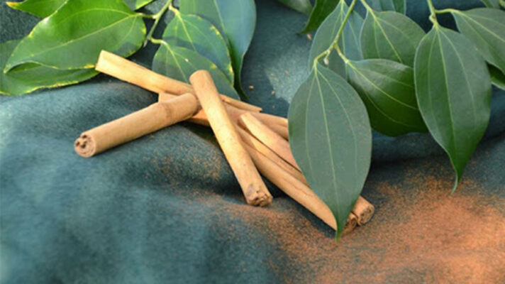 دارچین برای رشد گیاه