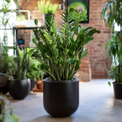 6a43dc020220de00fa7cac45668a4228ab731728_1658159542